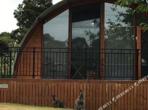 Bruny Island Accommodation 43 Degrees Beachside Studio Spa Apartments (1) - Accommodation NT 1