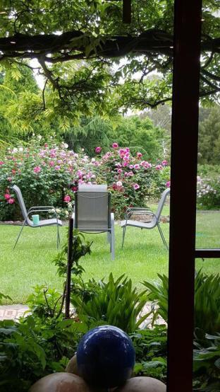 Wisteria Lodge - Accommodation NT 5