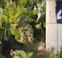 Ingenia Holidays Mudgee Valley - Accommodation NT