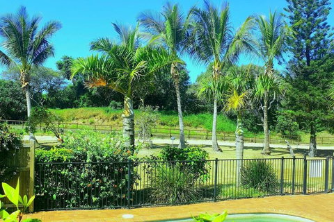 Sailfish On Fraser - NT Tourism 3