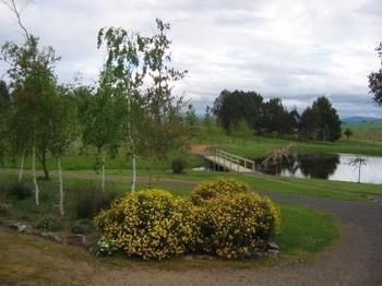Buttercup Cottage & Private Apartment - Accommodation NT 3