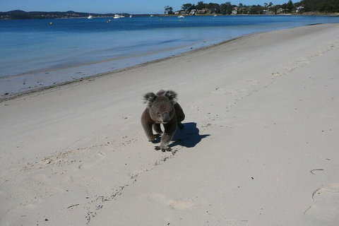 The Mitchells Waterfront Bed & Breakfast - NT Tourism 7