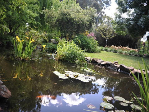 Stableford House Bed & Breakfast - NT Tourism 1