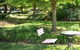 Stableford House Bed & Breakfast - thumb 4