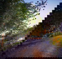 Dayboro Cottages  Llama Walks - Accommodation NT