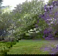 Petersons Armidale Winery  Guesthouse - Accommodation NT