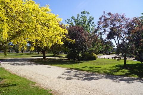 All Seasons Mansfield - Accommodation NT 5