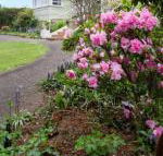 Anabels of Scottsdale - Accommodation NT