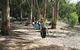 Lorne Bush House Cottages & Eco Retreats - thumb 2