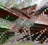 Barrington Wilderness Cedar Lodge Accommodation - Accommodation NT