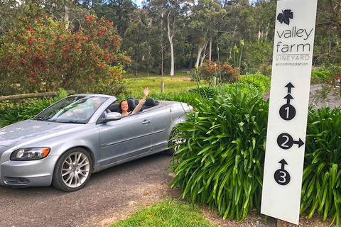Valley Farm Vineyard Cottages - Accommodation NT 0