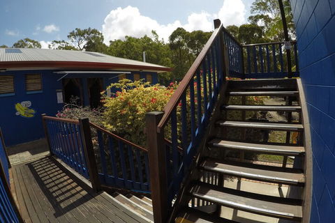 Cool Bananas Backpackers - Accommodation NT 5