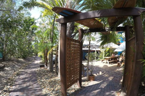Cool Bananas Backpackers - Accommodation NT 6