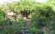 Lemontree Cottage - thumb 3