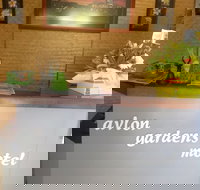 Avlon Gardens Motel - Ballina - Accommodation NT