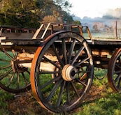 Toorongo River Sanctuary - Accommodation NT