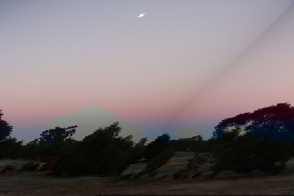 Pomonal VIC Accommodation NT