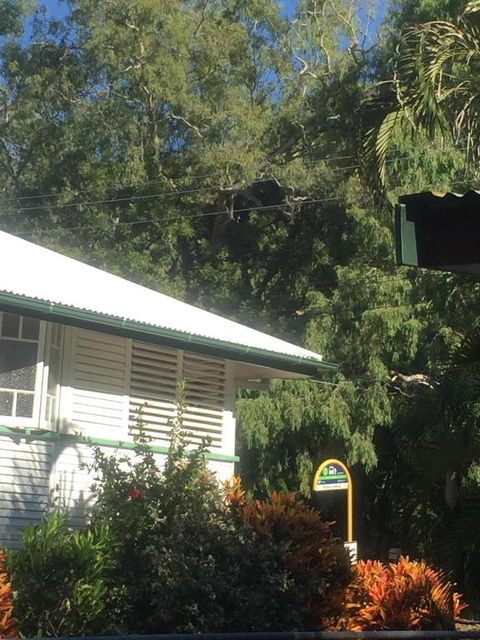 Daggoombah Holiday Home Magnetic Island - Accommodation NT 6