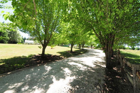 Daisy Cottage - Accommodation NT 7