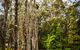 Ghost Hill Road Retreat - thumb 2