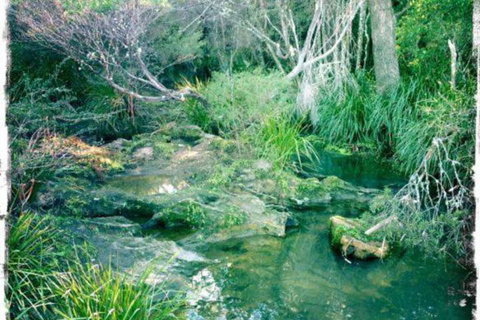 Twin Falls Bush Cottages - Accommodation NT 2