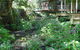 Treetops Accommodation Montville - thumb 4