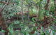 Treetops Accommodation Montville - thumb 5