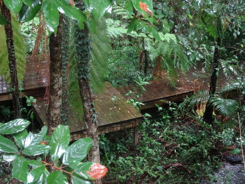 Treetops Accommodation Montville - NT Tourism 1