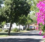 BIG 4 Hay - Accommodation NT