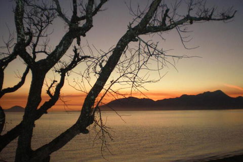 Daintree Village Hideaway - Accommodation NT 3