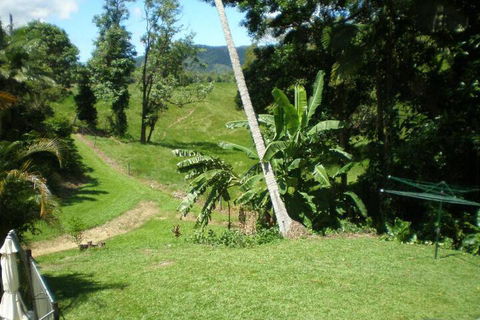 Daintree Village Hideaway - Accommodation NT 5
