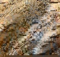 Ballina Palms Boutique Motel - Accommodation NT