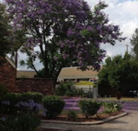 Belvoir Village Motel  Apartments Wodonga - NT Tourism