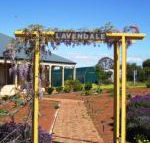 Lavendale Farmstay  Cottages York - Accommodation NT