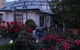 Bowral Road Bed And Breakfast - thumb 0