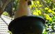 Bowral Road Bed And Breakfast - thumb 1