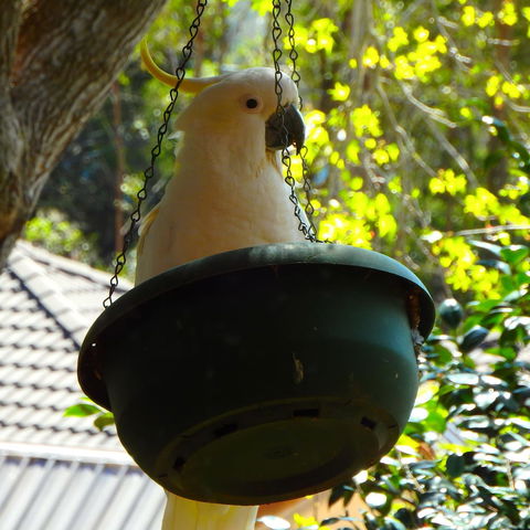 Bowral Road Bed And Breakfast - NT Tourism 1