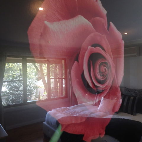 Bowral Road Bed And Breakfast - NT Tourism 5