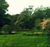 Birdwing Bed  Breakfast Weegena - Accommodation NT