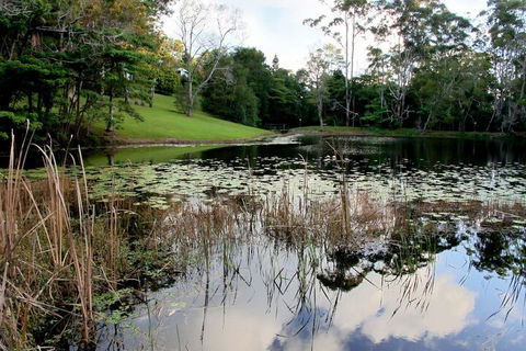 Montville Country Cabins - NT Tourism 2