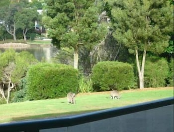 Bluewater Apartments Merimbula - Accommodation NT 2