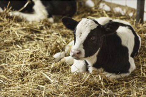 Seymour Motel - Accommodation NT 7