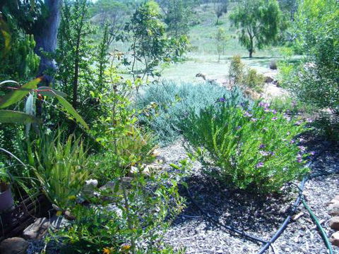 Old Miners Cottages Bed & Breakfast - NT Tourism 3