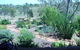 Old Miners Cottages Bed & Breakfast - thumb 2