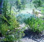 Old Miners Cottages Bed  Breakfast - Accommodation NT