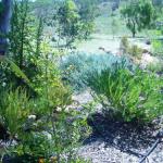 Old Miners Cottages Bed & Breakfast - NT Tourism 0