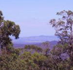 Ravensbourne Escape Cedar Lodge - Accommodation NT