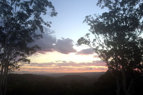 Phoenix Eumundi Bed & Breakfast - Accommodation NT 1