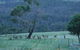 Hawksview At Mafeking - thumb 3