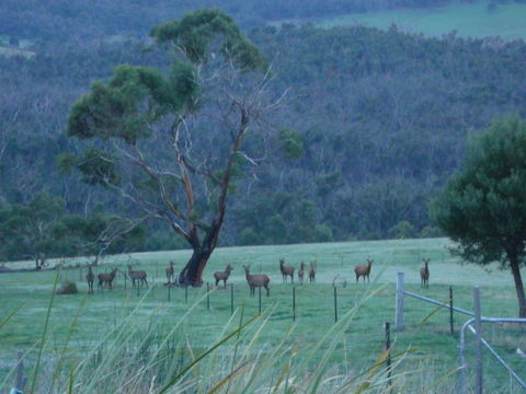 Hawksview At Mafeking - NT Tourism 3